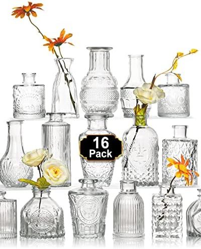 Arme 16Pcs Glass Bud Vase Set，Small Flower Vase for Centerpieces，Clear Bud Vases in Bulk， Mini