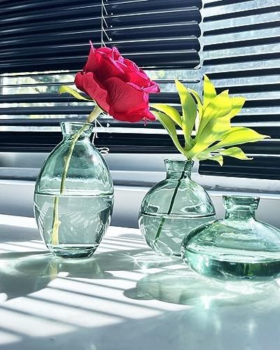 Glass Vase Small Vases for Flowers - 3pcs/Set Short Minimalist Vase Clear Modern Decorative Small